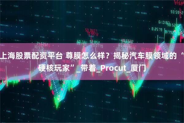 上海股票配资平台 尊膜怎么样？揭秘汽车膜领域的 “硬核玩家”_带着_Procut_厦门
